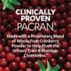 Azo Cranberry Urinary Tract Health