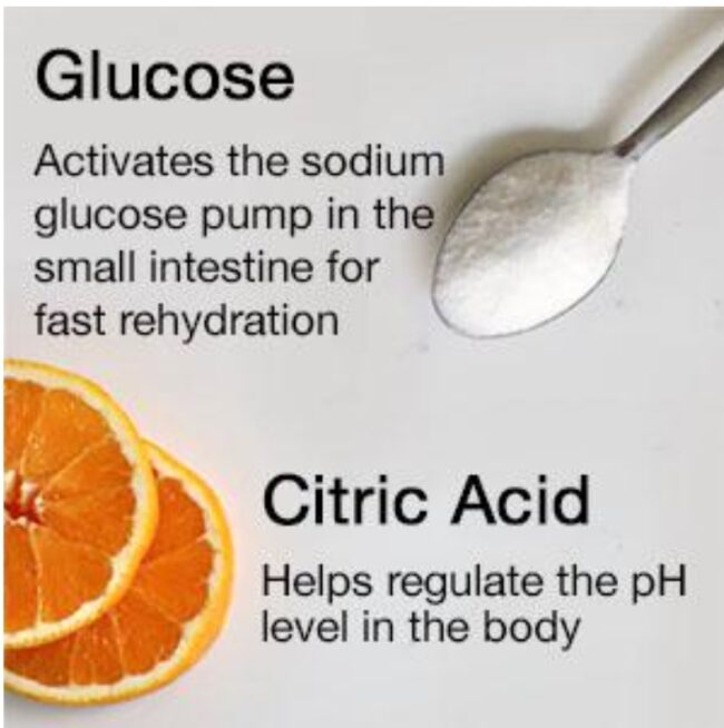 Hydralyte Electrolyte Hydration Powder Packets