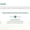 Puritans Pride Prostene Prostate Support Formula