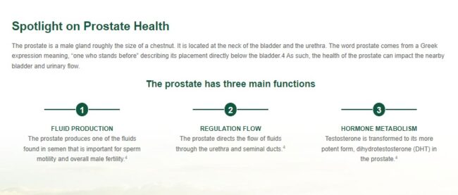 Puritans Pride Prostene Prostate Support Formula