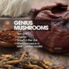 The Genius Brand Genius Mushrooms - Immune System Booster & Nootropic Brain Supplement