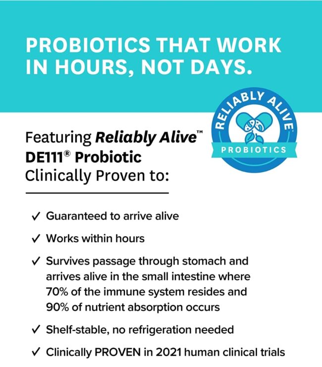 Zenwise Health Probiotic Digestive Multi Enzymes - Bloating Relief for Women & Men, Enzymes For Digestion with Prebiotics & Probiotics for Gut Health