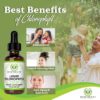 Benevolent Nourishment Chlorophyll Liquid Drops - Energy Boost, Immune System Support, Internal Deodorant, Mint Taste