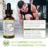 Benevolent Nourishment Chlorophyll Liquid Drops - Energy Boost, Immune System Support, Internal Deodorant, Mint Taste