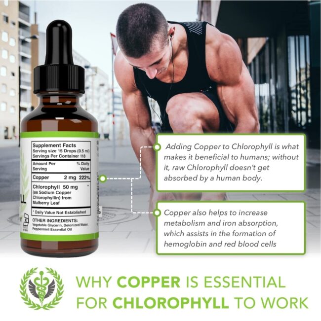 Benevolent Nourishment Chlorophyll Liquid Drops - Energy Boost, Immune System Support, Internal Deodorant, Mint Taste