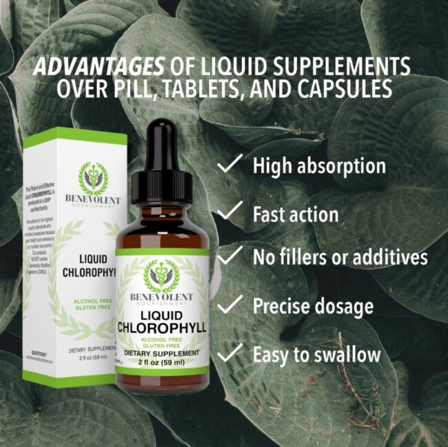 Benevolent Nourishment Chlorophyll Liquid Drops - Energy Boost, Immune System Support, Internal Deodorant, Mint Taste