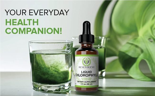 Benevolent Nourishment Chlorophyll Liquid Drops - Energy Boost, Immune System Support, Internal Deodorant, Mint Taste
