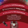 Natures Craft Herbal Uric Acid Cleanse & Detox - Essential Daily Kidney Cleanse and Uric Acid Support for Adults