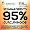 Nature's Nutrition Turmeric & Ginger with Bioperine 1950mg - Natural Joint Inflammatory Support, Black Pepper for Max Absorption, Nature's Turmeric Extract Supplement