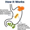 Better Body Co Provitalize - Everyday Probiotic Formula Optimized for Weight Management & Overall Gut Health