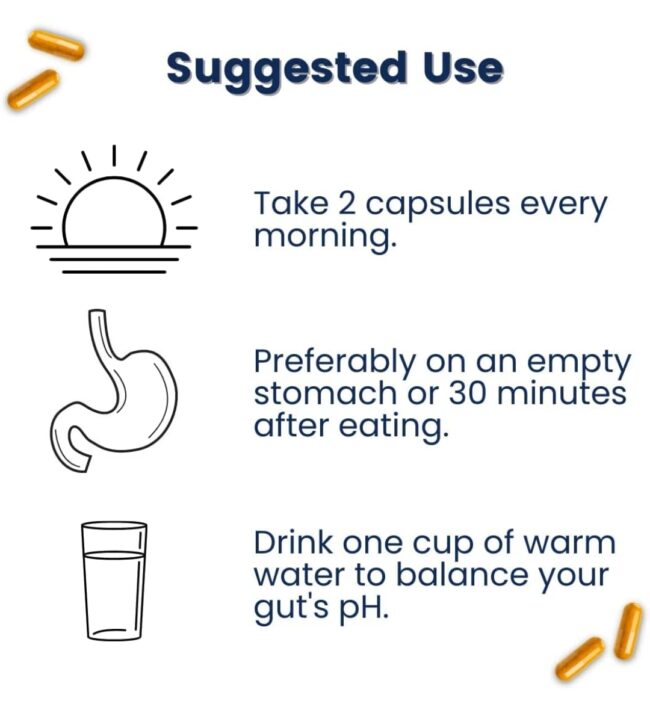 Better Body Co Provitalize - Everyday Probiotic Formula Optimized for Weight Management & Overall Gut Health