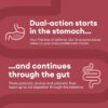 Physician's Choice Digestive Enzymes with Prebiotics + Probiotics for Digestive Health & Gut Health
