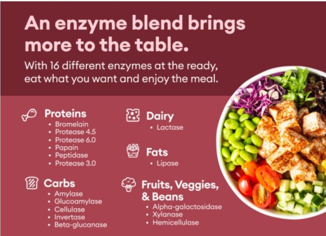 Physician's Choice Digestive Enzymes with Prebiotics + Probiotics for Digestive Health & Gut Health