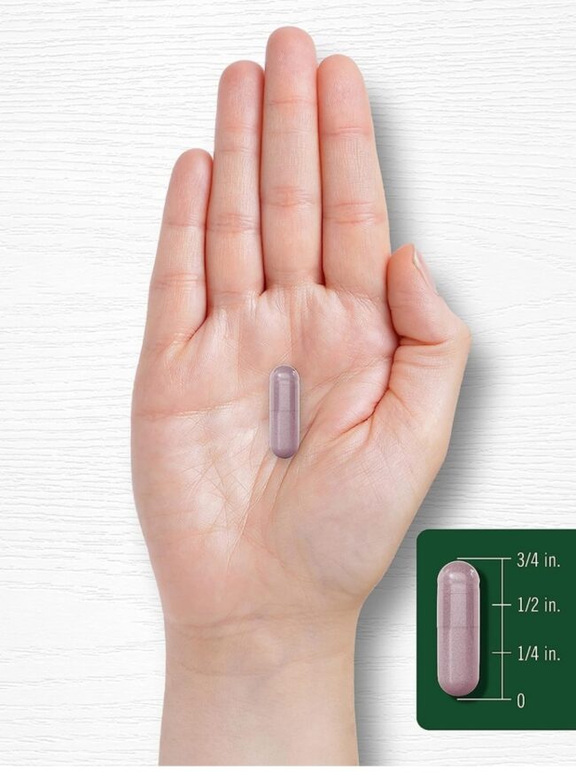 Carlyle Bilberry 3600mg - Diarrhea, Inflammation of the Mouth, Urinary Problems & Diabetes