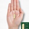 Carlyle Bitter Melon Complex 2,500mg - To treat Diabetes, Ulcer, Malaria, Pain & Inflammation