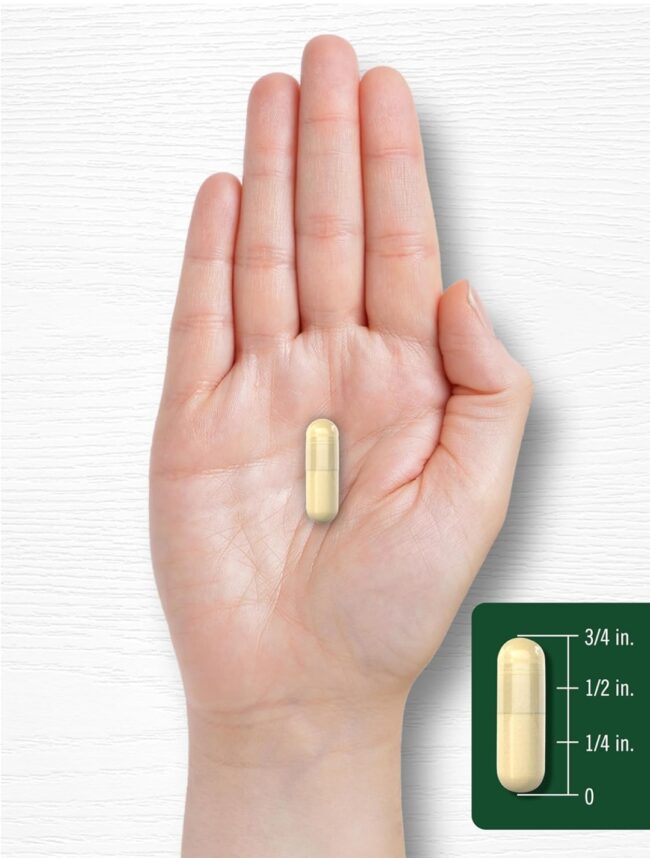 Carlyle Bitter Melon Complex 2,500mg - To treat Diabetes, Ulcer, Malaria, Pain & Inflammation