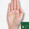 Carlyle Oil of Oregano 4,000mg - Fighting Bacteria, Treating Fungal Infections & Reducing Inflammation