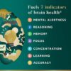 Neuriva Ultra Brain Health - Mental Alertness, Memory, Focus & Concentration, Cognitive, Neurofactor, Vitamin B6 B12