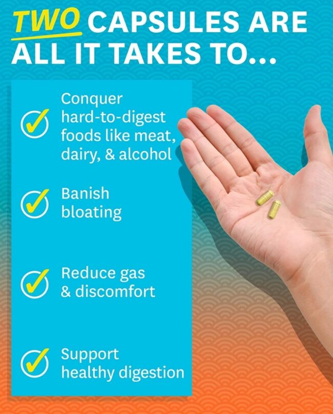 Zenwise No Bloat - Bloating and Gas Relief with Probiotics for Digestive and Gut Health