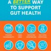Zenwise No Bloat - Bloating and Gas Relief with Probiotics for Digestive and Gut Health