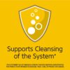 21st Century Herbal Slimming Tea Honey Lemon 2