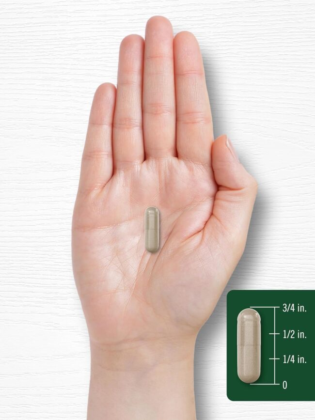 Carlyle Panax Ginseng & Ginkgo Biloba Supports Immune System