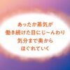 Megurism Steam Hot Eye Mask