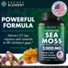 Secret Element Wild Crafted Sea Moss Bladderwrack + Burdock Root 2,000mg 1