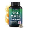 Secret Element Wild Crafted Sea Moss Bladderwrack + Burdock Root 2,000mg