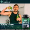 Secret Element Wild Crafted Sea Moss Bladderwrack + Burdock Root 2,000mg 2