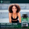 Secret Element Wild Crafted Sea Moss Bladderwrack + Burdock Root 2,000mg 3