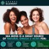 Secret Element Wild Crafted Sea Moss Bladderwrack + Burdock Root 2,000mg 4