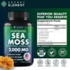 Secret Element Wild Crafted Sea Moss Bladderwrack + Burdock Root 2,000mg Fact